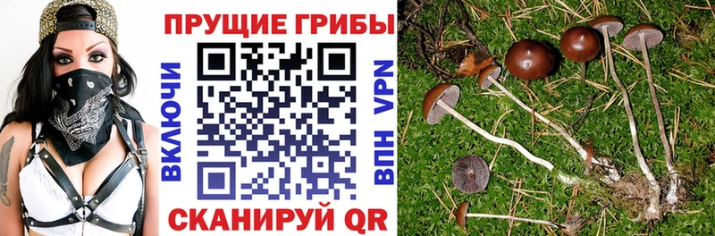 Галлюциногенные грибы Magic Shrooms Иркутск
