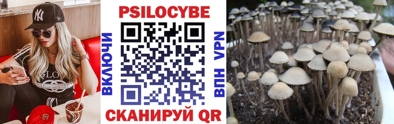 ссылка на мегу онион  Иркутск  Псилоцибиновые грибы Psilocybine cubensis 