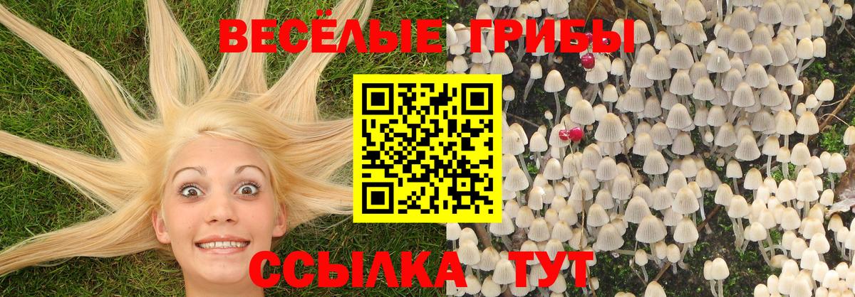 Псилоцибиновые грибы ЛСД Иркутск